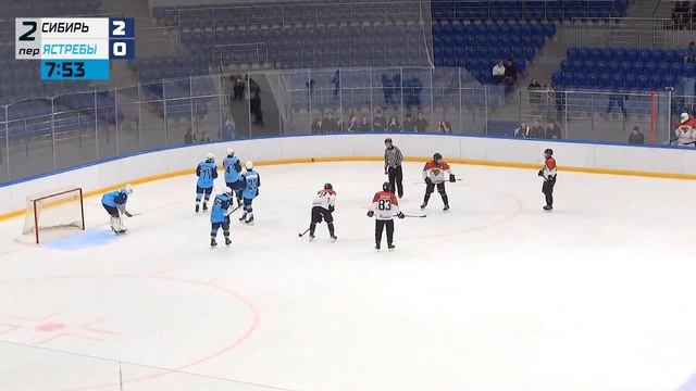 СИБИРЬ - ЯСТРЕБЫ ЛД КРИСТАЛЛ АРЕНА 15:00 24.08.2024 смотреть онлайн