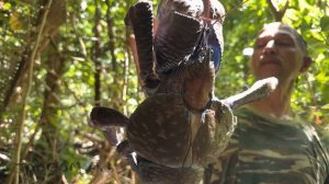 Чудовщный и древний рак. Пальмовый вор