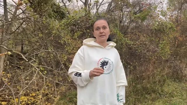 ПРОДАНО‼️Участок в сказочном месте в ст. Азовской. смотреть онлайн