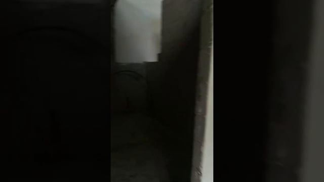 VID 20200904 121526 смотреть онлайн