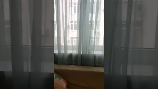 Геленджик. Этажи. ул. Шмидта. Об.473414 смотреть онлайн