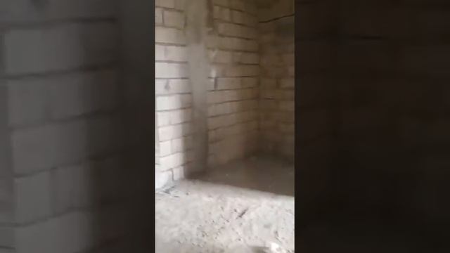 1-комнатная квартира на ул. Центральная смотреть онлайн