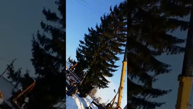 Погрузка ёлки в Кушнаренково №2 смотреть онлайн