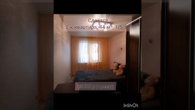 Сдаётся 2 к Воронеж, ул. Челюскинцев, 140 23 000р в месяц смотреть онлайн