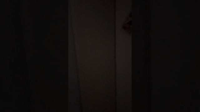 Видео для авито!!!Квартира посуточно Геленджик смотреть онлайн