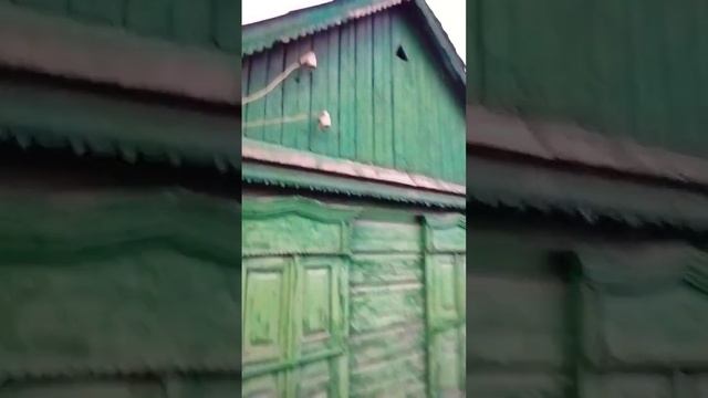 Странный дом смотреть онлайн