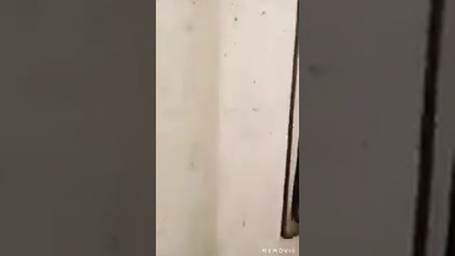 Ул. Папанина смотреть онлайн