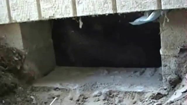 Foundation Vents смотреть онлайн