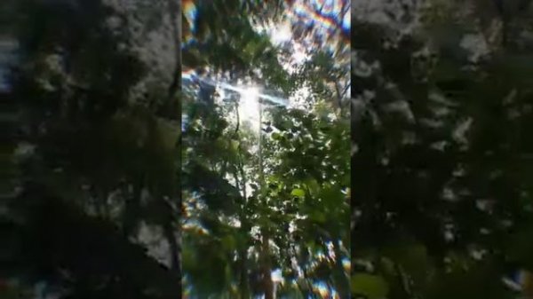 Safari Trek Indonesia