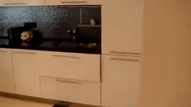 Квартира смотреть онлайн