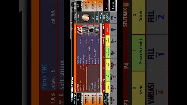 NEW SKIN MIDI ORG 2024 смотреть онлайн