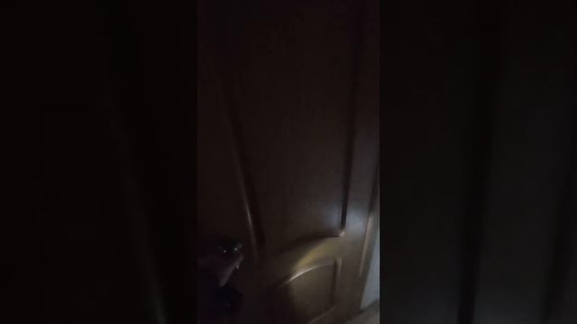 Аренда 2к квартиры в Киеве, Маяковского 28 смотреть онлайн