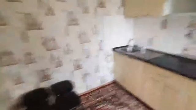 Сдам (Сниму) 2к квартиру в Самаре, ул.Авроры 122. Код 62582 смотреть онлайн