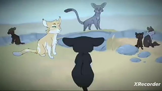 Звёздный луч мап #warriorcats #котывоители #кв #