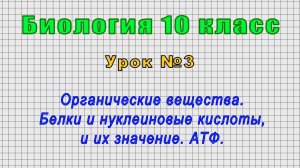 Биология 10 класс (Урок№3 - Органические вещества. Белки и нуклеиновые кислоты, и их значение. АТФ.)
