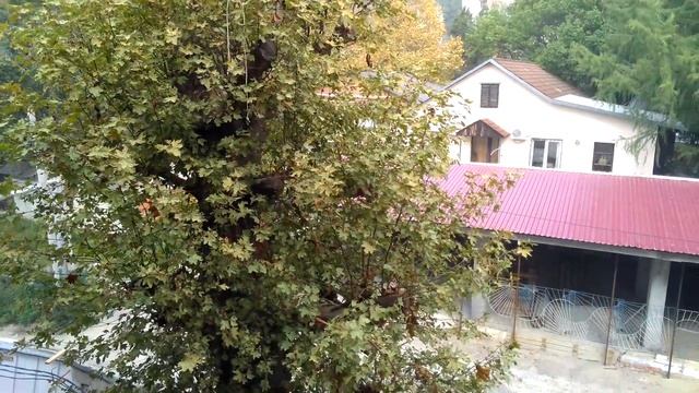 Жилой комплекс 