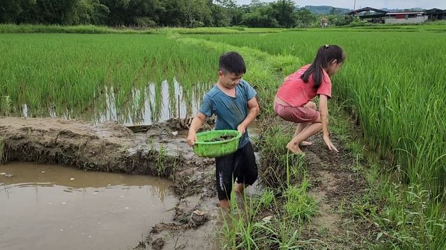 The kind man sacrificed silently to take care of his single mother,Tears of happiness | Thuy Nguyen смотреть онлайн