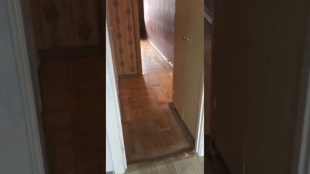 2-комнатная квартира Судостроительная 45 смотреть онлайн