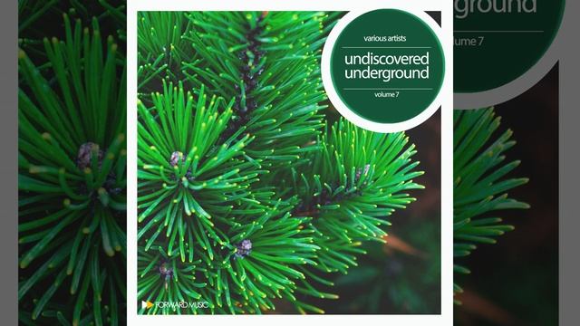 Paradigm (Original Mix) смотреть онлайн
