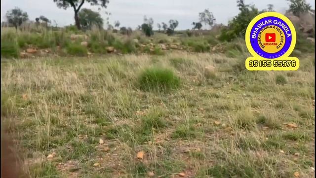 10 Acres land sale Red soil land Bangalore to Hyderabad 🛣37 km, hoskote- 70 km, Acre- 8 lakhs смотреть онлайн