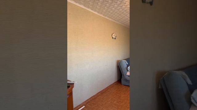 видео снаружи заречное смотреть онлайн