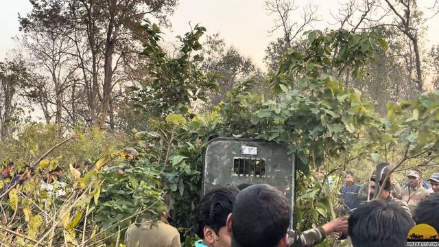 DHELA TIGER ATTACK ‼️Jim Corbett National Park पिंजरा लग गया है Maneater Tiger?? смотреть онлайн