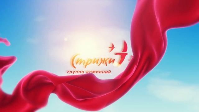 Стрижи - заставка Belkin Video