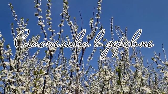 Как избавиться от страха что вас обманут при покупке дома?🏡 (АУДИОПОДКАСТ) смотреть онлайн