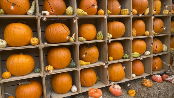 Хеллоуин 2024