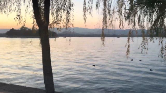 iPhone 14 pro 4k HDR demo смотреть онлайн