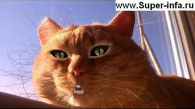 С днём рожденья! смотреть онлайн