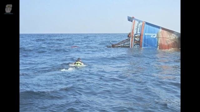 4 котенка тонут вместе с кораблекрушением, но тут появился этот парень смотреть онлайн