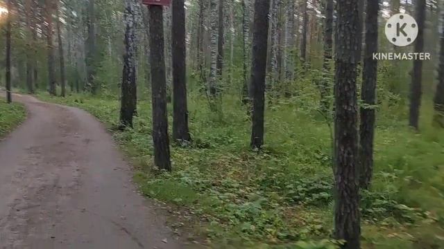 👍🔥Усилил друга на йоге! Записал итоги встречи кино клуба! Собрал кубик Рубика! Друзья и инвестора! смотреть онлайн