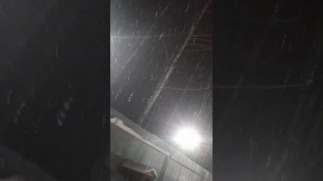 бросили собаку смотреть онлайн