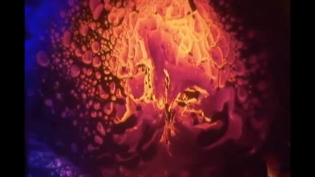 Electric Bonfire- Paradigm Shift 3/27/19 смотреть онлайн