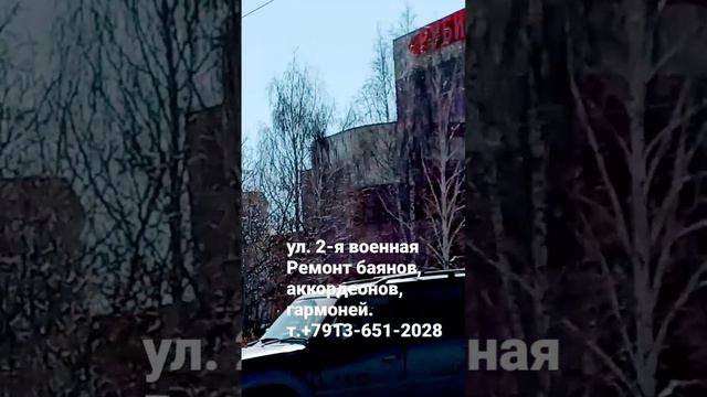 г.Омск #cat #fashion #funny #детдом смотреть онлайн