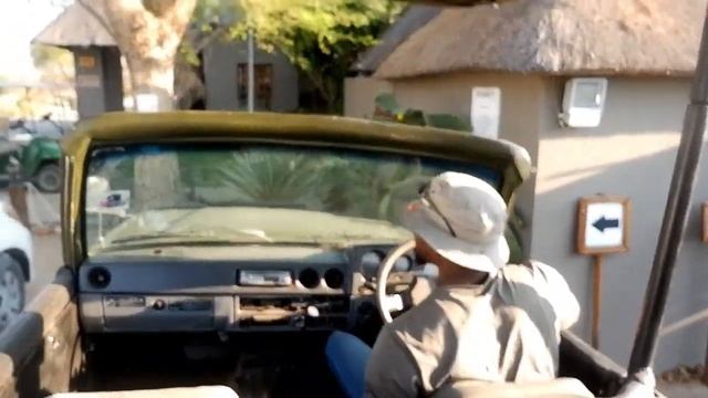 SAFARI VLOG | A PRIVATE GAME DRIVE IN BOTSWANA смотреть онлайн