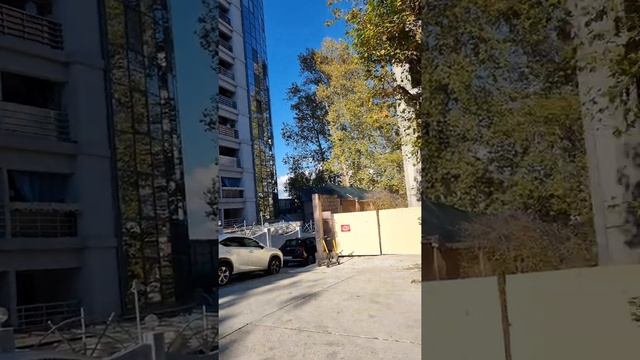 купить квартиру в Сочи дом бизнес класса Жк Мидгард ФЗ 214 от 25 млн р 8(919)444-66-55 смотреть онлайн