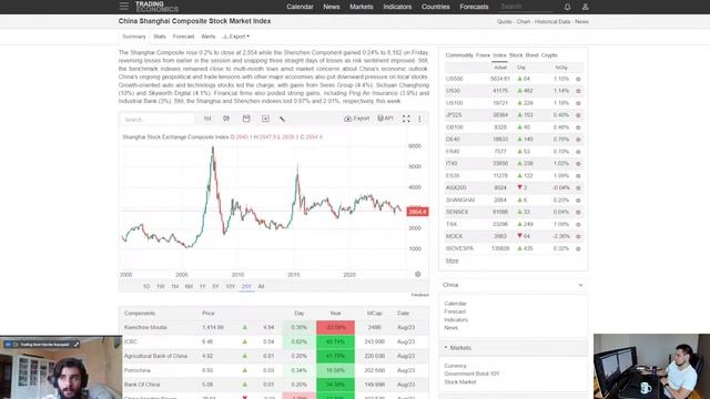 Макроэкономический обзор TD #2 | Сырьевые рынки, нефть 24.08.2024 смотреть онлайн