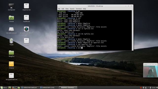 INPUT / OUTPUT LINUX смотреть онлайн