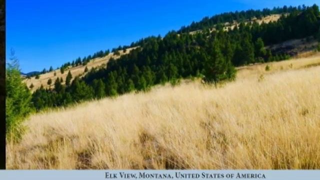 Best Places to Homestead... Where I Live смотреть онлайн