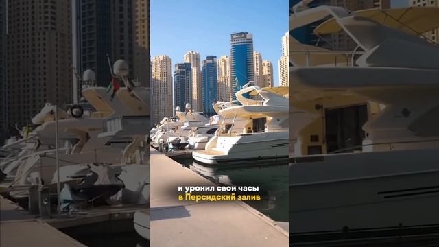 В ДУБАЕ ВОЗМОЖНО ВСЁ #недвижимостьдубай #дубай #dubai #инвестициивнедвижимость смотреть онлайн