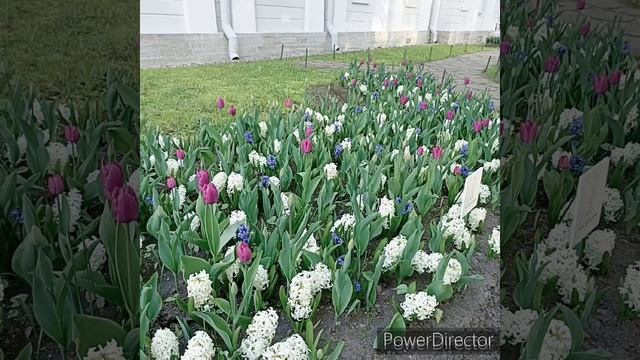 Инна Судакова - городская сумасшедшая ❗ чего нет в мусоре❓ смотреть онлайн