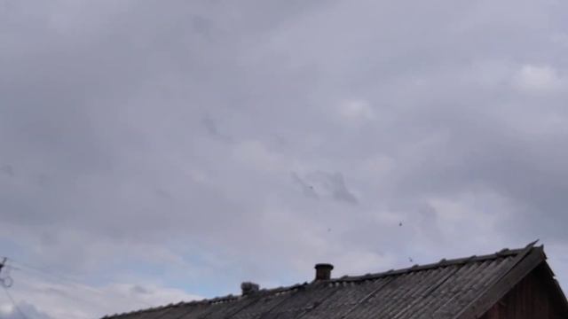 Гоняю смотреть онлайн