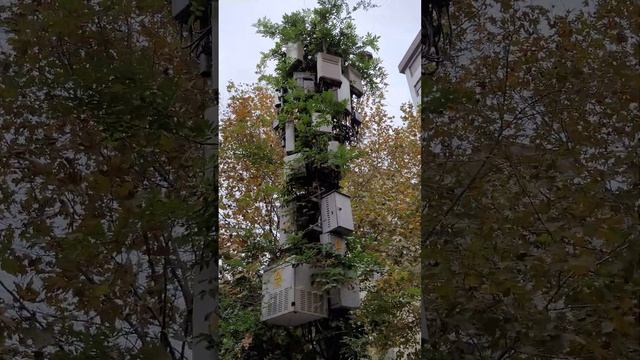 Интересная базовая станция сотовой связи смотреть онлайн