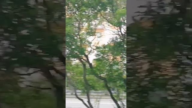 Проспект Ленина в Мурманске. 13.07.2024. смотреть онлайн