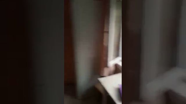 невская 6 смотреть онлайн