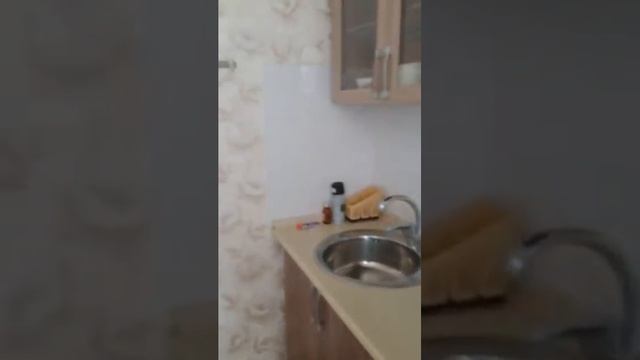 1ка, Проспект Античный 62, новострой. можно с ребенком. офиц договор. 25+ку +79787003279 смотреть онлайн