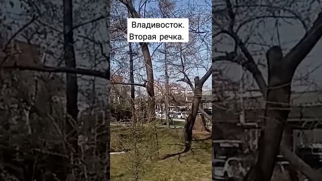 Владивосток. Вторая речка. 20 апреля 2023 г. смотреть онлайн