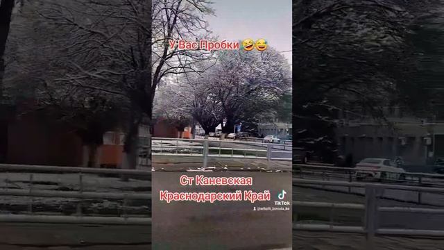 #арболит #домизарболита #арболитборода #производствоарболита #каневская #89186922458 #недвижимость смотреть онлайн